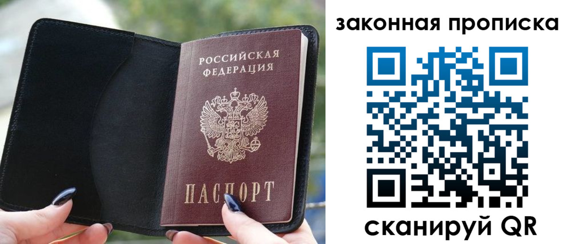 прописка законно в Красном Куте